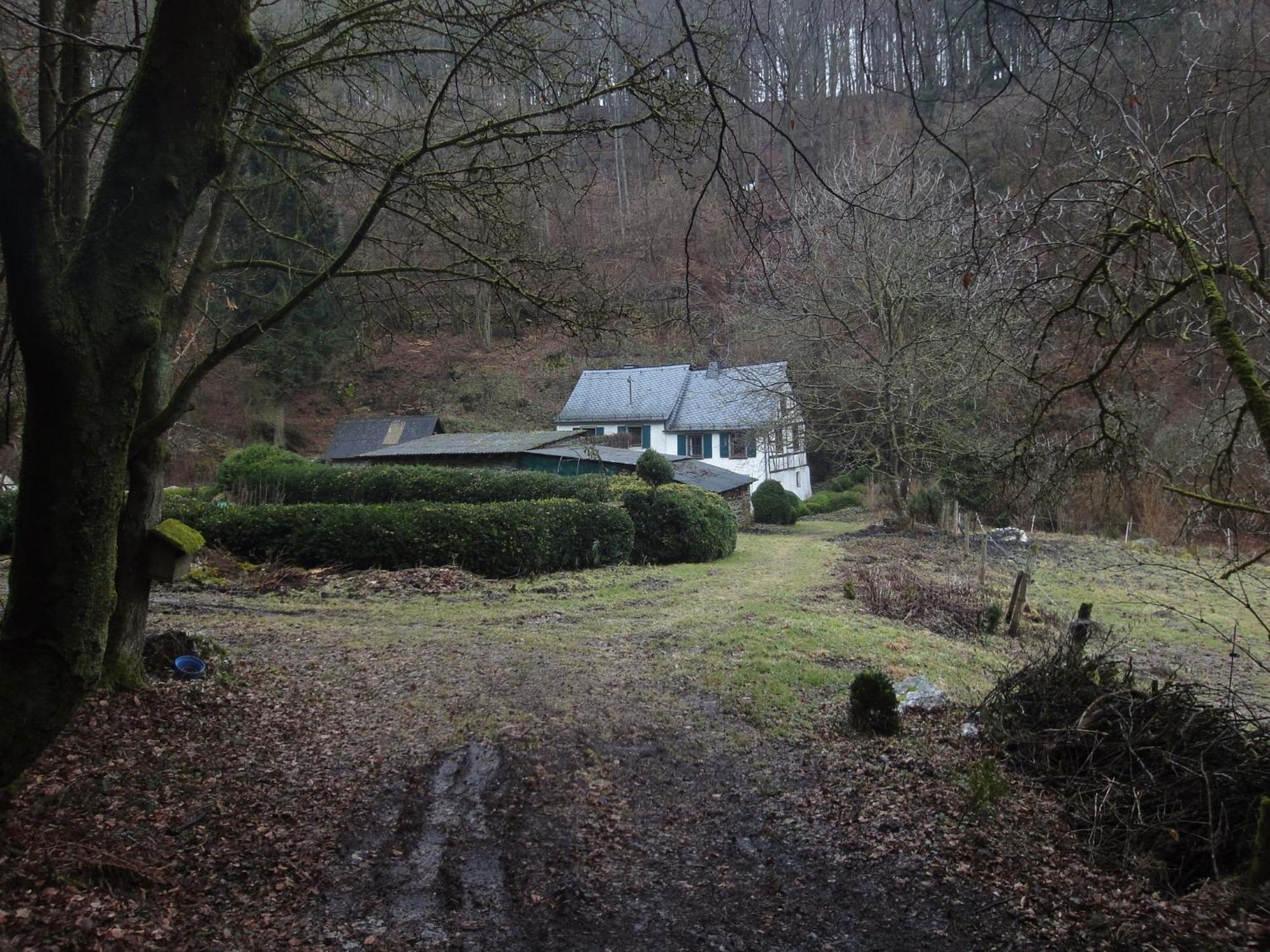Holiday Home In Kleinich With Sauna Esterno foto